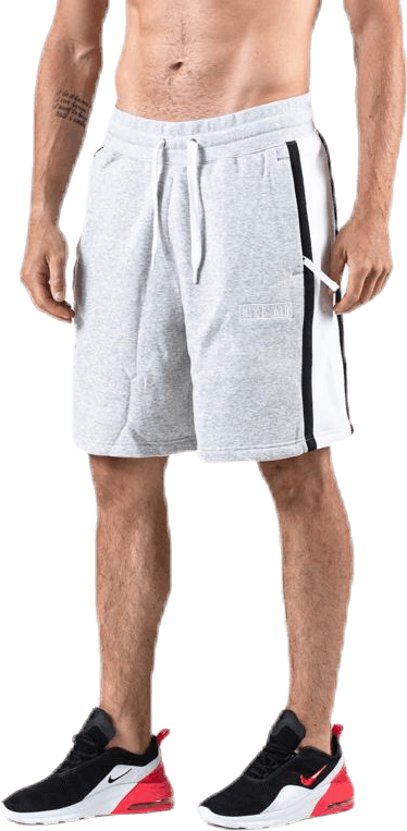 Air Short BB Grey, Male, Kläder, Shorts, Grå, S