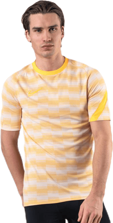 Dri-FIT Academy SS Grey, Male, Kläder, T-shirt, Fotboll, Flerfärgad, XL