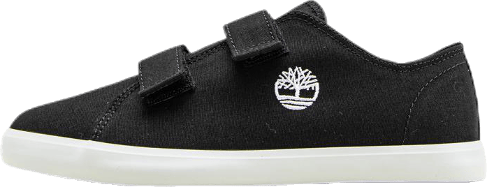 Newport Bay Canvas 2 Strap Ox Black, Unisex, Shoes, Trainers, Black, UK 5