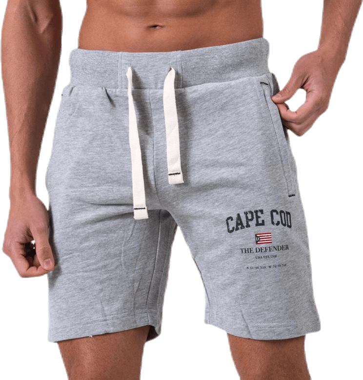 Dakota Sweat Shorts Grey - Bild 6