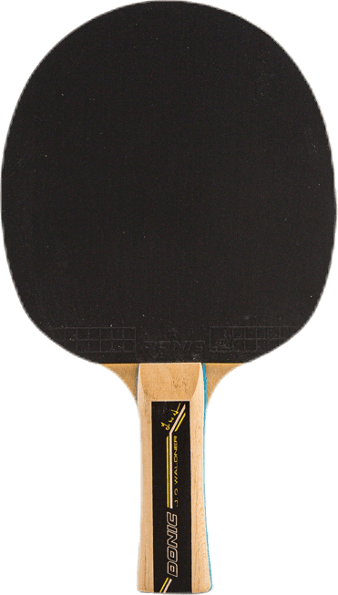 Waldner 500 Patterned, Unisex, Equipo, raquetas, Tenis de mesa, Estampado, ONESIZE