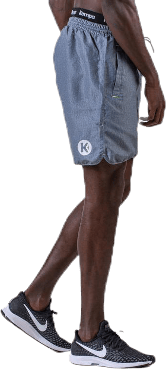 Core 2.0 Board Shorts Grey - Bild 5