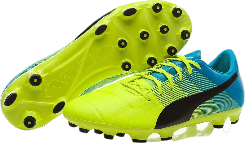 evopower 3.3