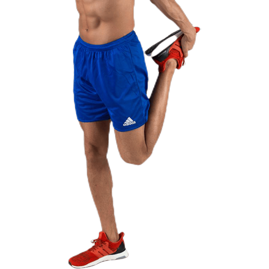 Parma 16 Sho With Brief Bold Blue / White - Bild 2