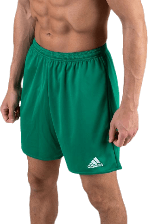 Parma 16 Shorts WB Green