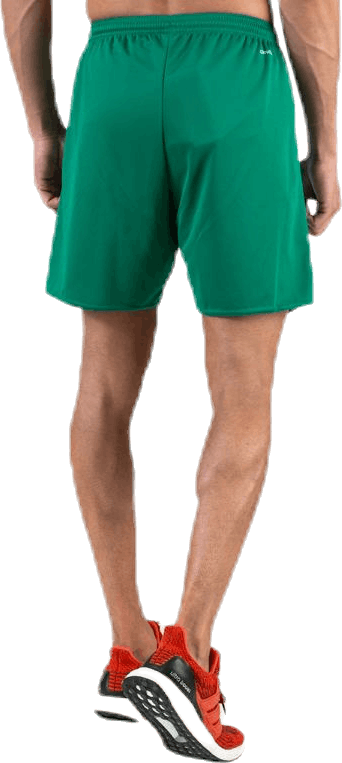 Parma 16 Shorts WB Green