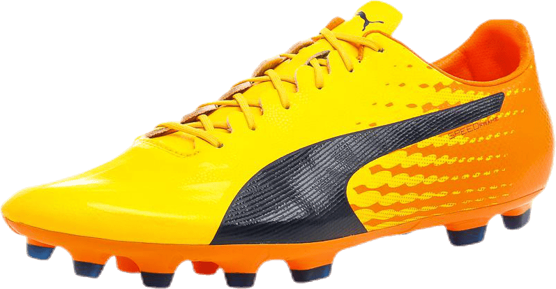 puma evospeed sl s ii fg