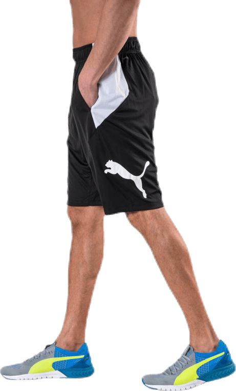 Cat Short White/Black - Bild 2