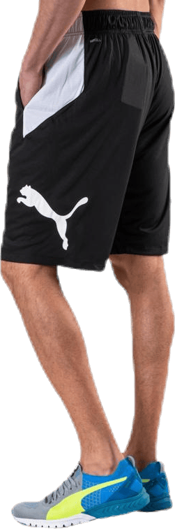 Cat Short White/Black - Bild 3