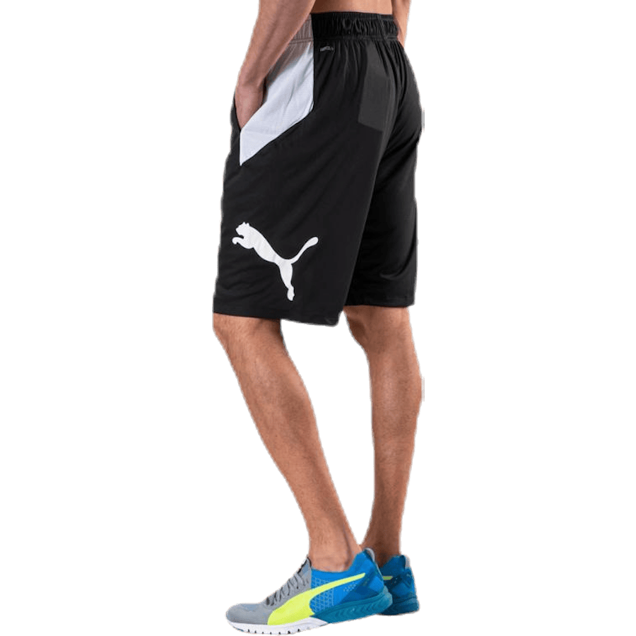 Cat Short White/Black - Bild 3