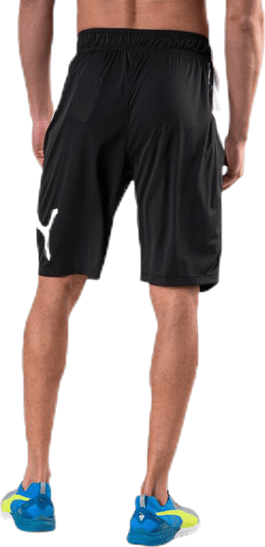 Cat Short White/Black - Bild 4