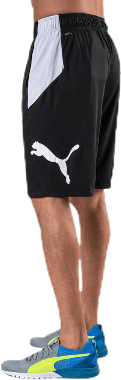Cat Short White/Black - Bild 6