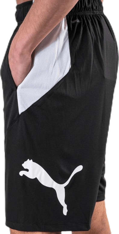 Cat Short White/Black - Bild 7