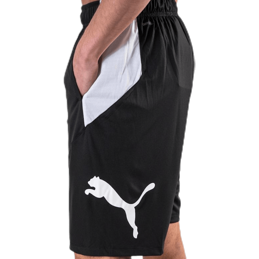 Cat Short White/Black - Bild 7