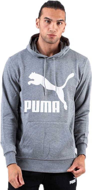 Classics Logo Hoody TR Grey