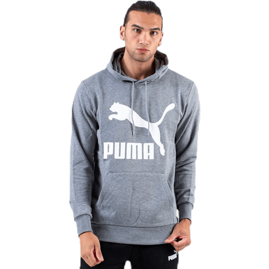 Classics Logo Hoody TR Grey