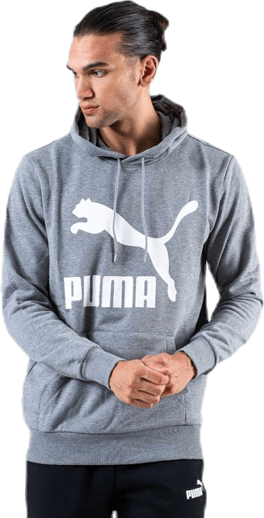Classics Logo Hoody TR Grey - Bild 2
