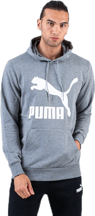 Classics Logo Hoody TR Grey - Bild 3