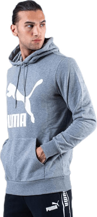 Classics Logo Hoody TR Grey - Bild 4