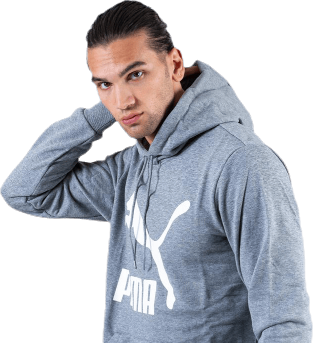 Classics Logo Hoody TR Grey - Bild 7