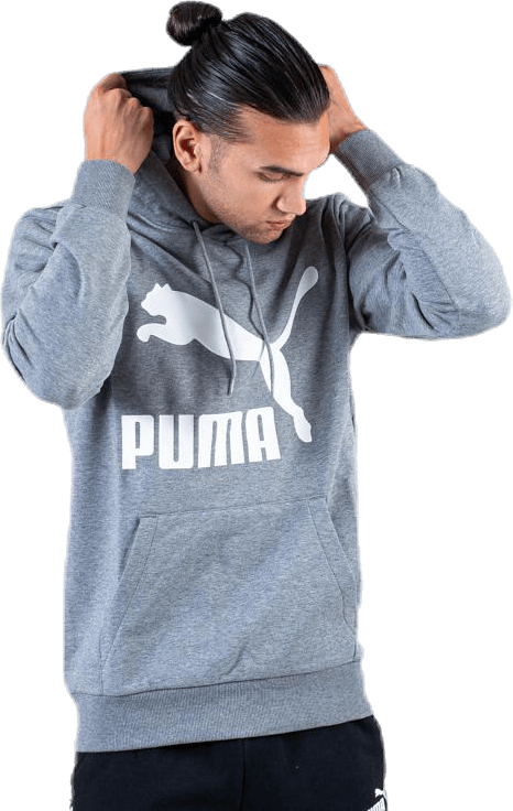 Classics Logo Hoody TR Grey - Bild 8