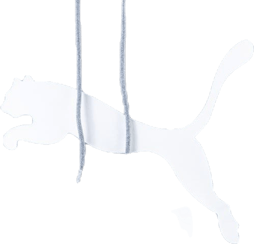 Classics Logo Hoody TR Grey - Bild 9