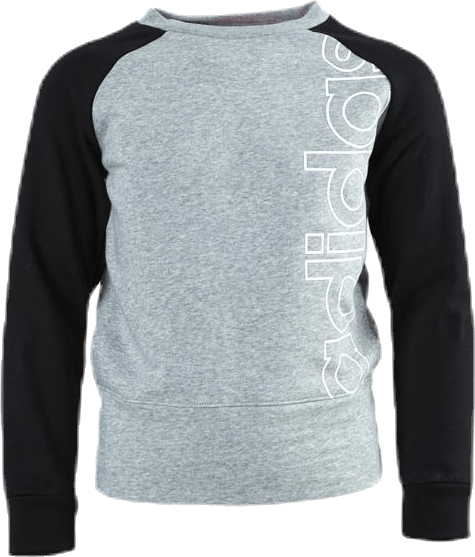 Logo Crew Sweatshirt Junior Black/Grey, Unisex, Apparels, Shirts, Multi color, 128