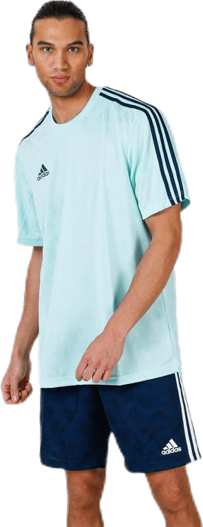 Tango Jaquard Jersey Blue/Green - Bild 2