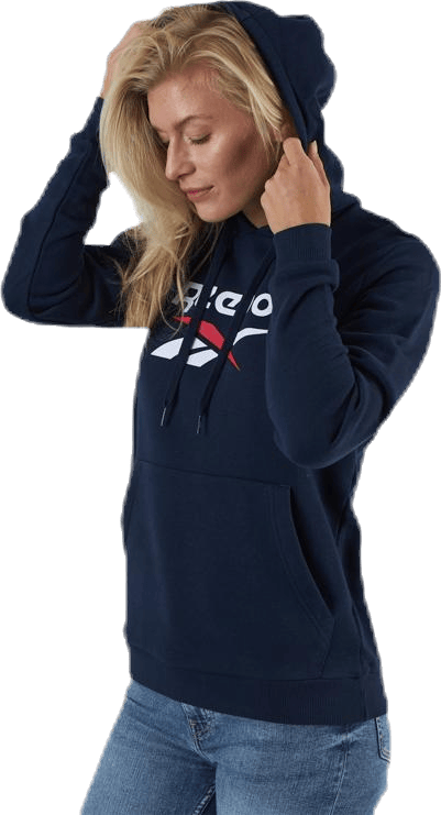 Cl F Big Logo Hoodie Ft Blue - Bild 5