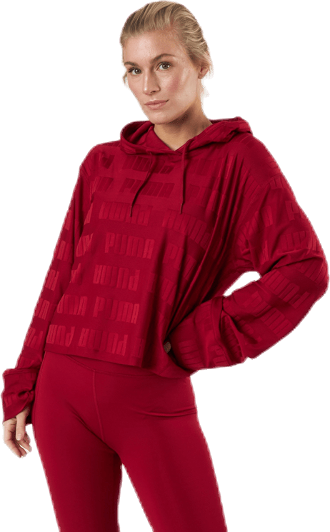 Train First Mile Mono Hoodie Red