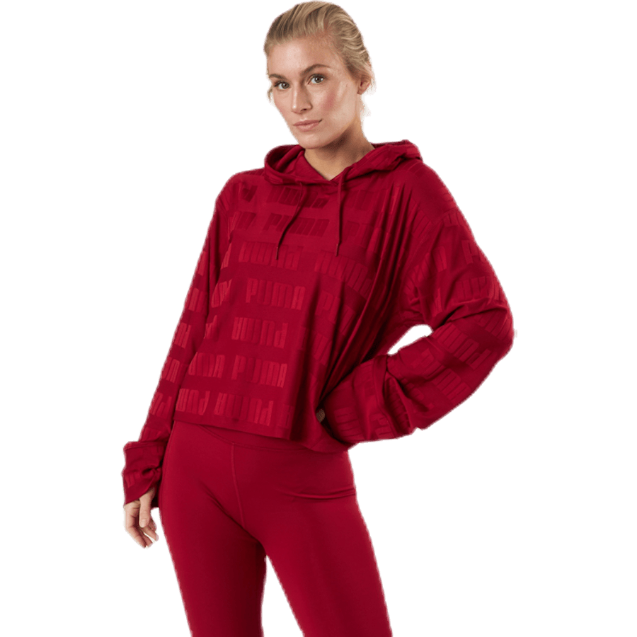 Train First Mile Mono Hoodie Red
