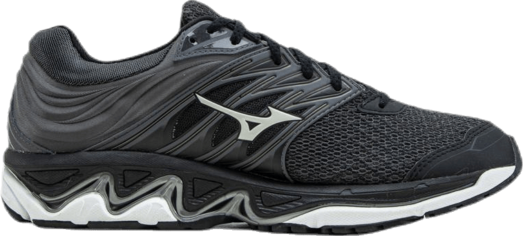 paradox 5 mizuno
