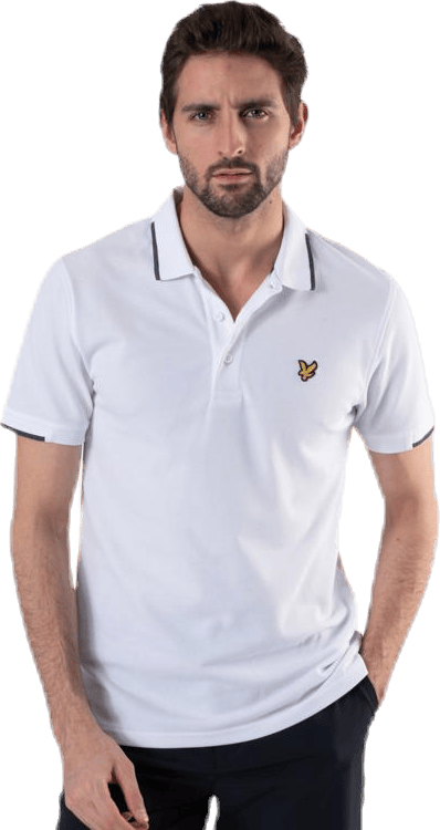 Andrew Polo White - Bild 3
