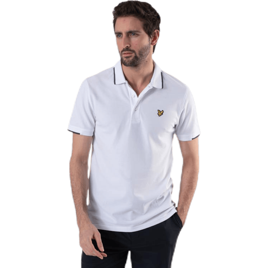Andrew Polo White - Bild 4