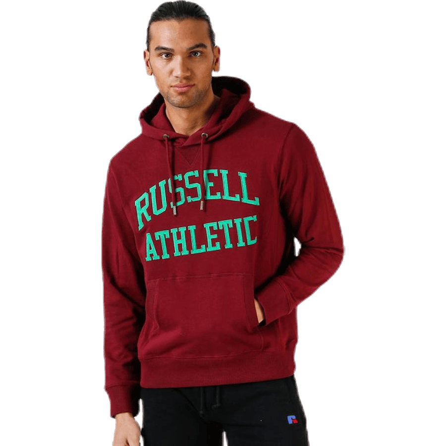 Iconic Twill Hoodie Purple