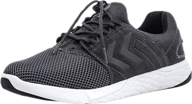 Terrafly NP Grey, Female, Shoes, Trainers, Grey, EU 39