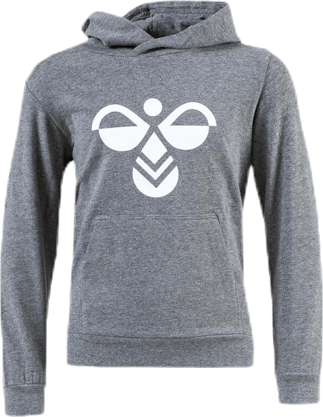 Junior Cuarto Hoodie Grey