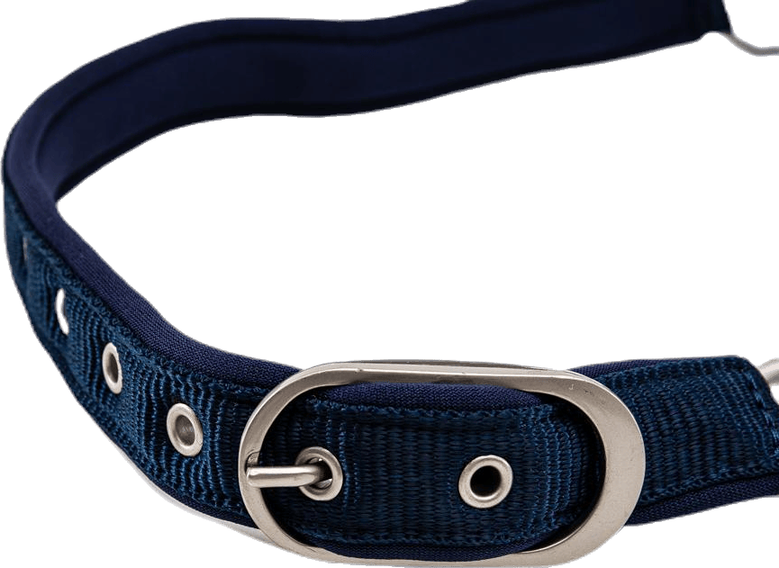 Diamond Grimma Blue/White - Bild 2