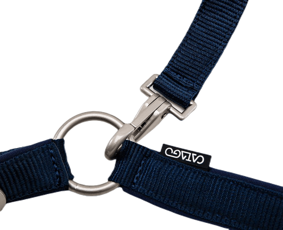 Diamond Grimma Blue/White - Bild 3