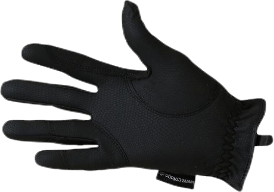 Elite Shine Glove Black - Bild 2