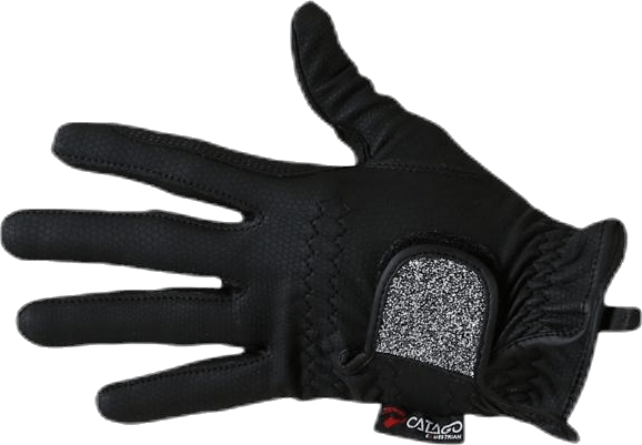 Elite Shine Glove Black - Bild 3
