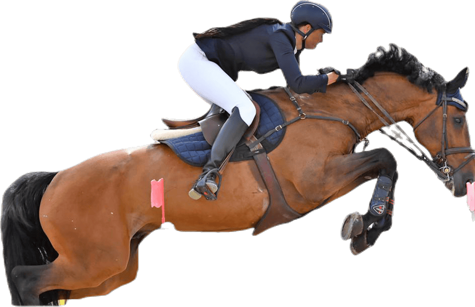 FIR-Tech Healing senskydd Black