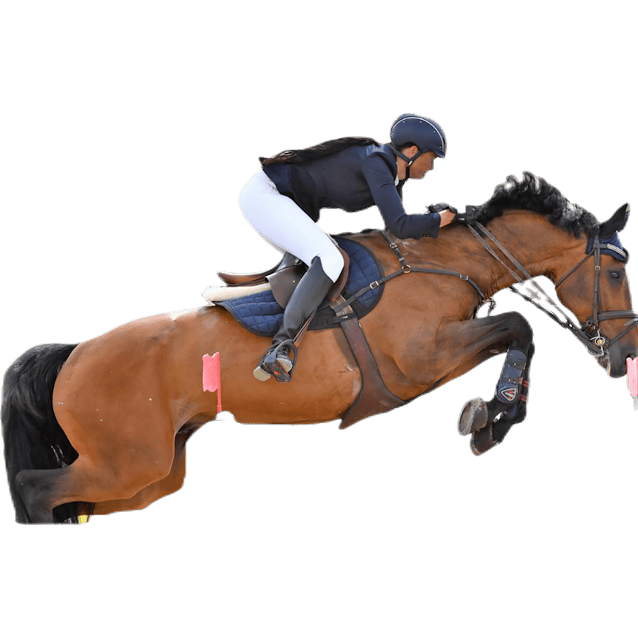 FIR-Tech Healing senskydd Black