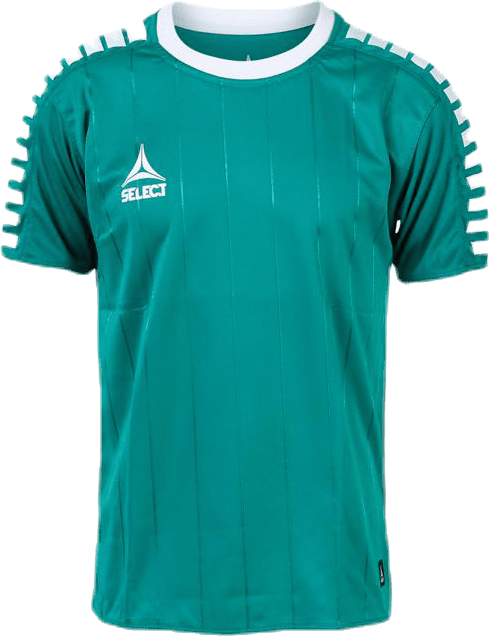 Player Shirt S/S Argentina Green