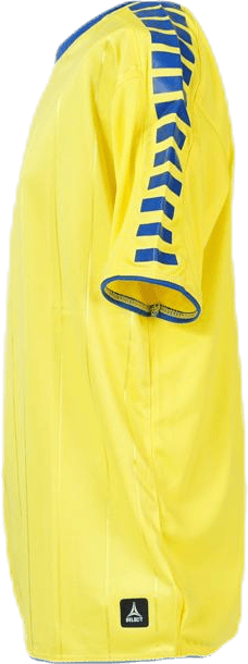 Player Shirt S/S Argentina Blue/Yellow - Bild 4