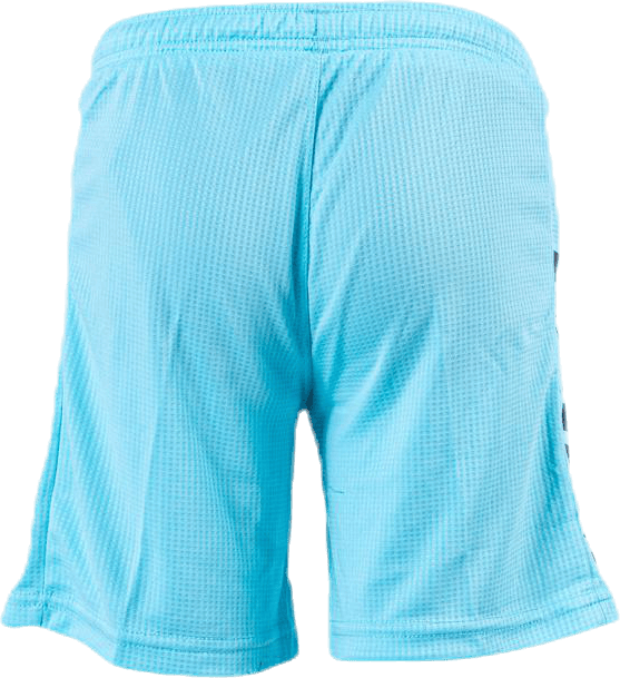 Goalkeeper Shorts Monaco Blue - Bild 3
