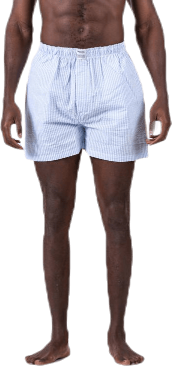 Woven Pyjama Shorts Blue/White, Male, Apparels, Underwear, Blue/White, L