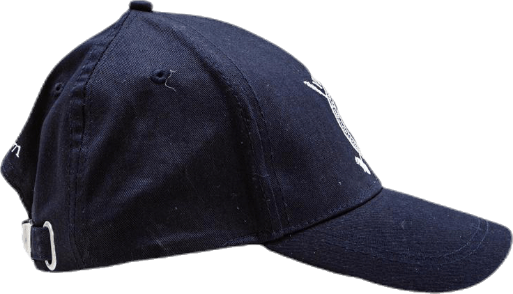 Hamilton Blue - Bild 4