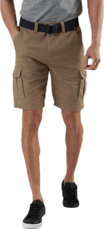 Layton Shorts Beige, Male, Odevy, Šortky, Béžová, S