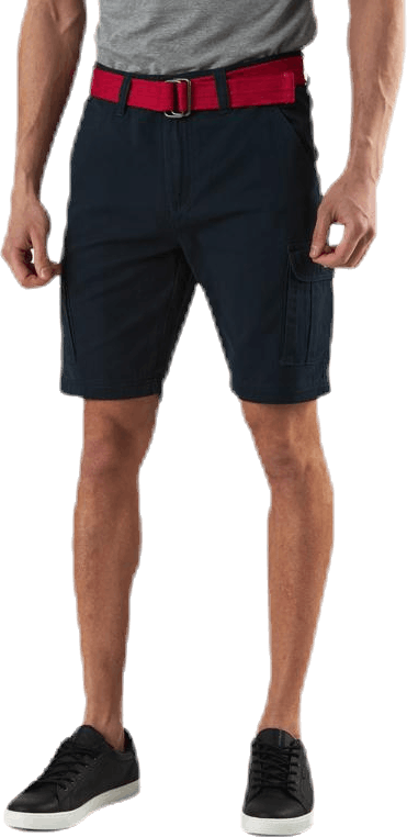 Layton Shorts Blue, Male, Klær, Shorts, Blå, S